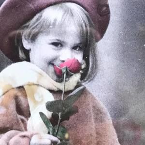 Meet your Posher, Ann